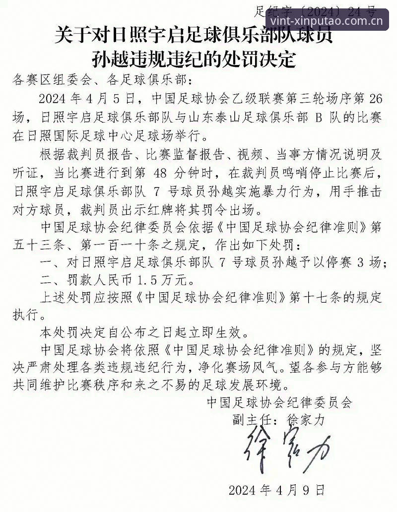 中国足坛整顿风暴完整指南：从足协第三批禁足名单看行业未来走向